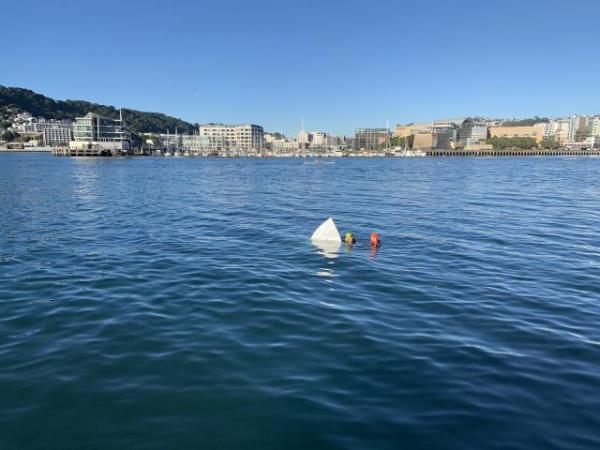 Lambton Harbour, Wellington