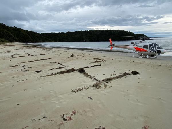 Stewart Island 