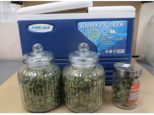 Cannabis head found in glass jars in rear of car