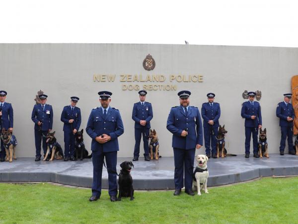 The nine new dog teams.