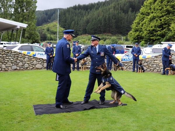 Is that certificate mine? Auckland Police dog Costa and Senior Constable Dave Templeton.