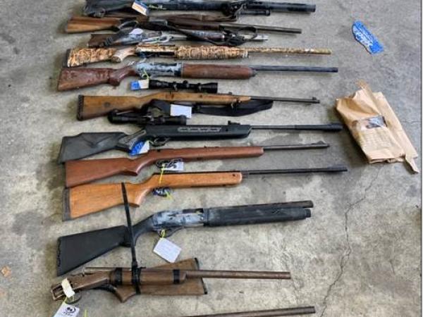 13 firearms were recovered following search warrants in Waima last month 