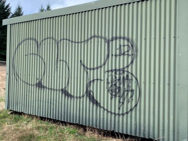 The outside of the homes were vandalised. 