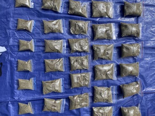 Synthetic cannabis seized in Canterbury today