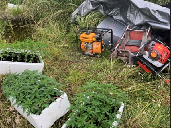Cannabis and equipment located by Police