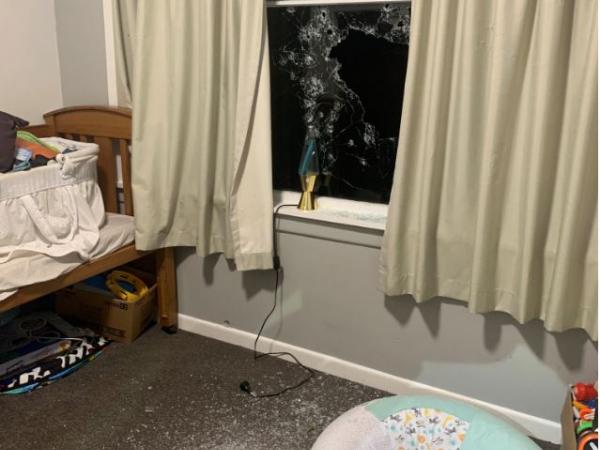 Wairoa firearms incident