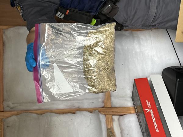 Drugs seized