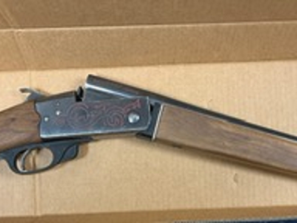 Seized firearms