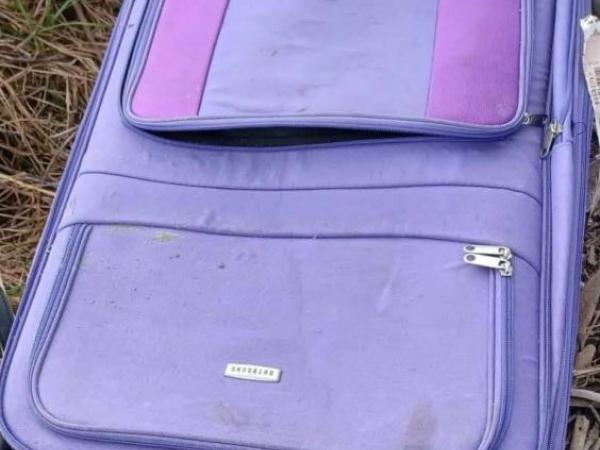 Purple suitcase