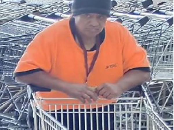 Have you seen Lofty?