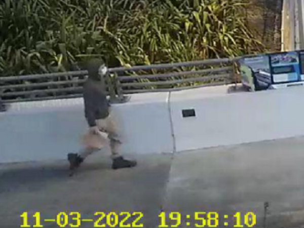 Man walking on Sandhurst Drive overbridge 