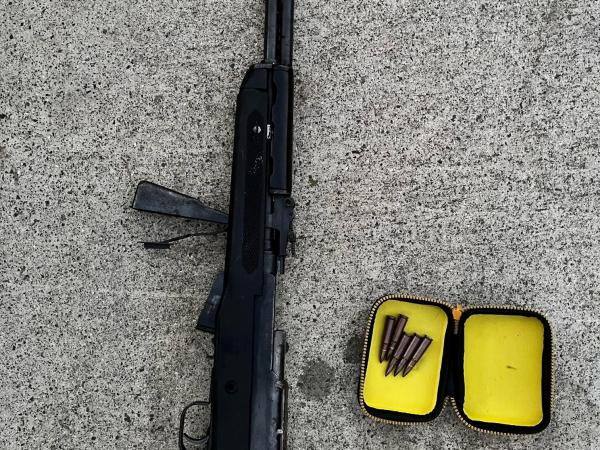 Firearms were located during a search warrant in West Auckland.
