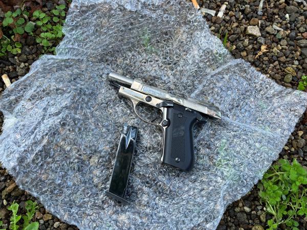 More than five firearms were seized.