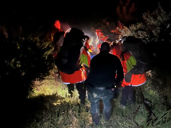 Ashley Forest rescue