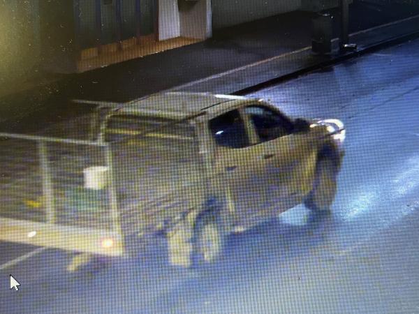 Further information sought – hit-and-run, SH2, Greytown