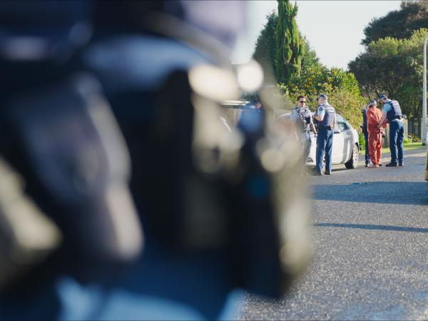 Police arrested three people across Counties Manukau yesterday.
