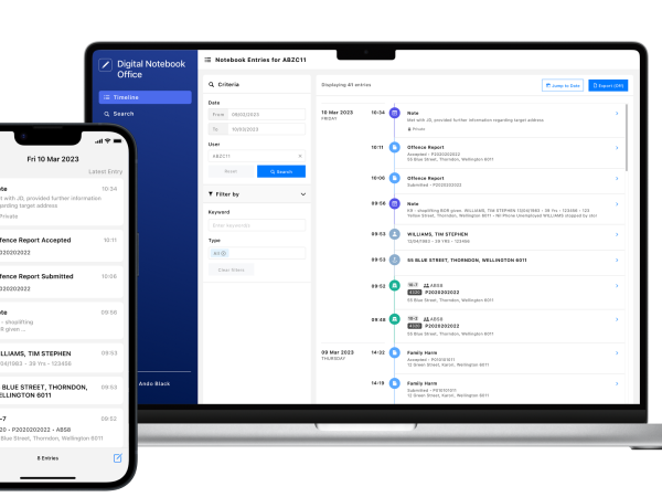 Example of digital platform