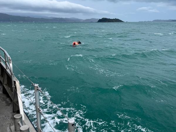 Kayak rescue Petone