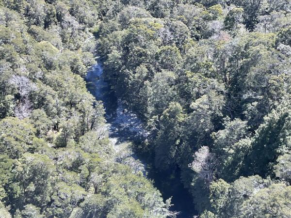 Where the missing tramper was located