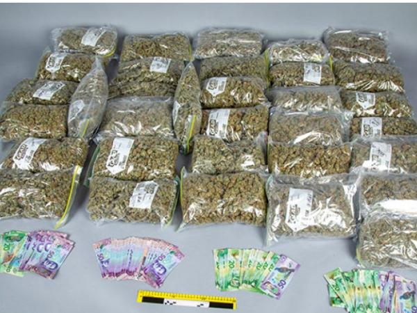 Cannabis and cash seized by Eastern District Organised Crime Group