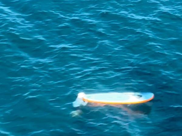 Lake Taupō paddleboarder rescue