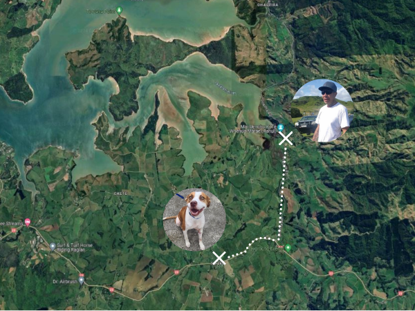 Visual of distance