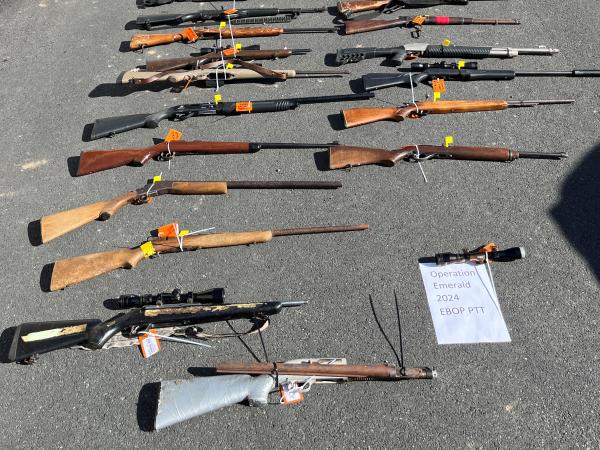 Firearms seized