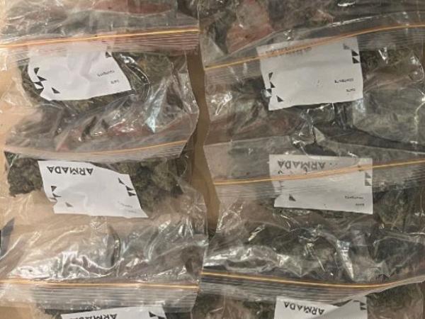 Police seize drugs, firearms and ammunition in Hamilton