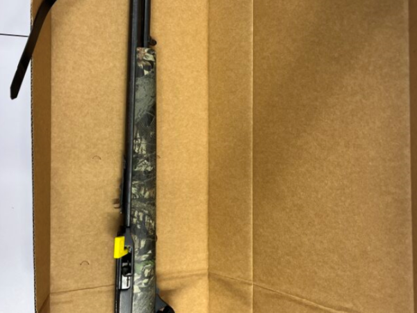Firearm seized following Rotorua incident