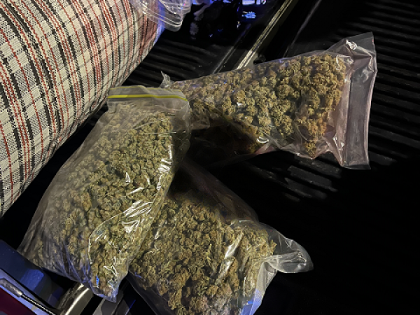 Police discovered more than three quarters of a million dollars in cannabis stacked in a ute.