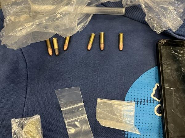 A 21-year-old man will appear in Papakura District Court charged with unlawful possession of ammunition.