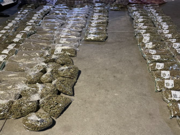 The cannabis was discovered in a Mt Wellington storage unit