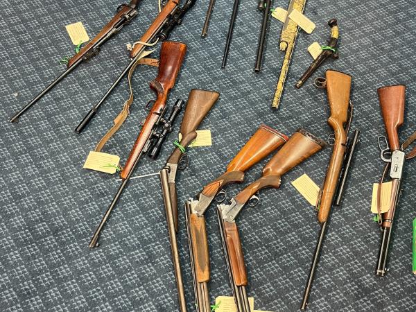 Firearms seized