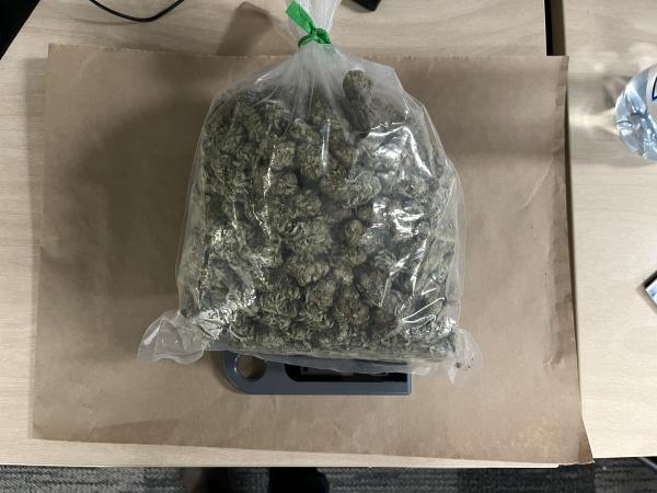 Almost 500 grams of cannabis was also found in the vehicle