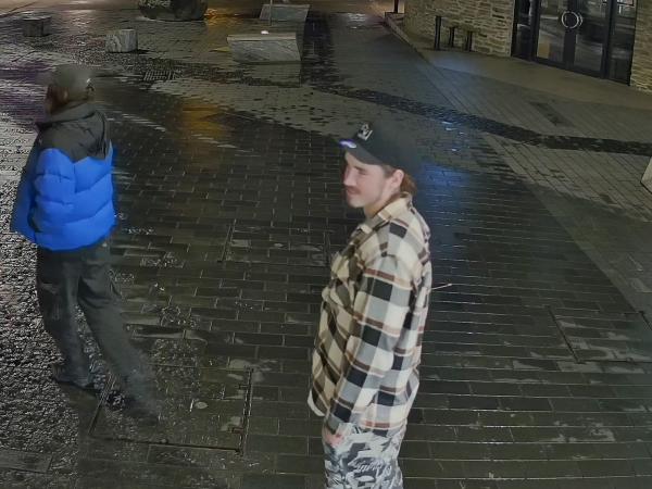 Police continue to appeal for information after theft of flags, Queenstown