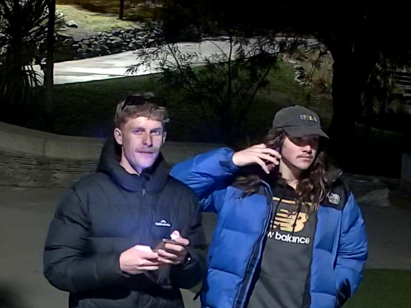 Police continue to appeal for information after theft of flags, Queenstown