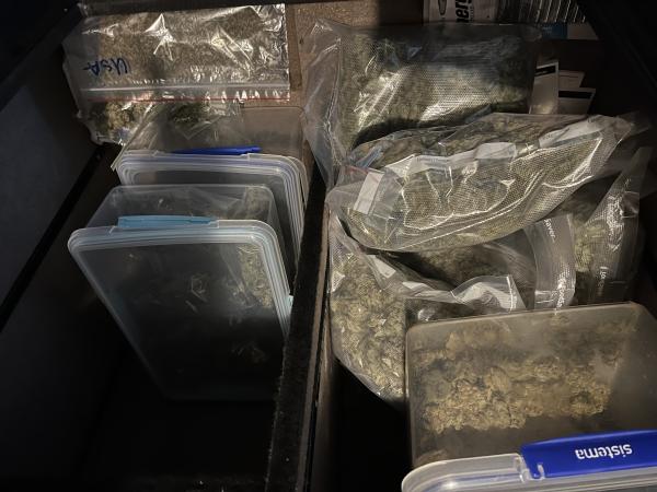 Cannabis seized Southland 