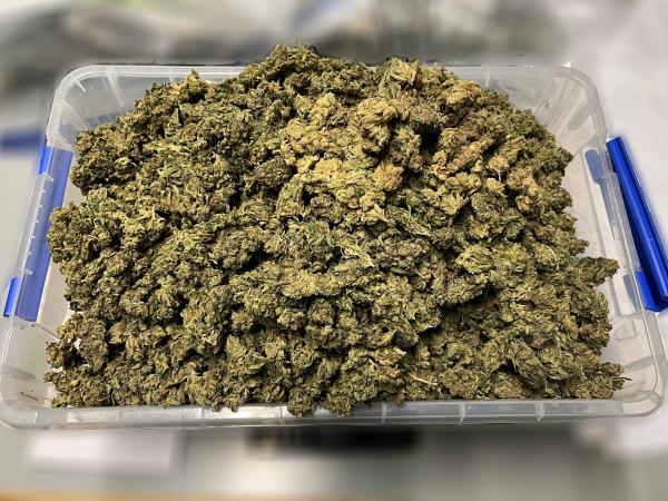 Around two kilograms of cannabis was located during a search warrant on Tuesday
