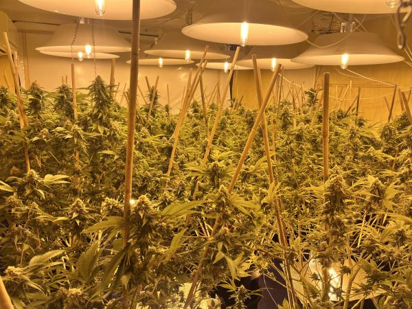 A joint operation has targeted and disrupted operations set up at rental properties