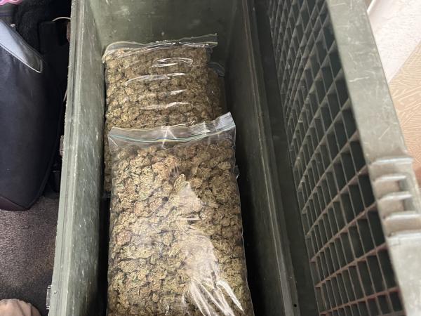 Cannabis seized