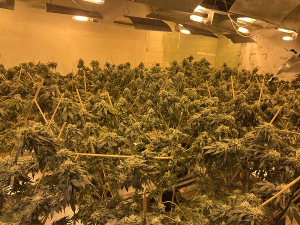 Grow house