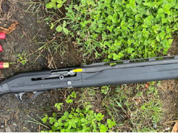 A cut down and loaded semi-automatic shotgun was located, along with other ammunition.