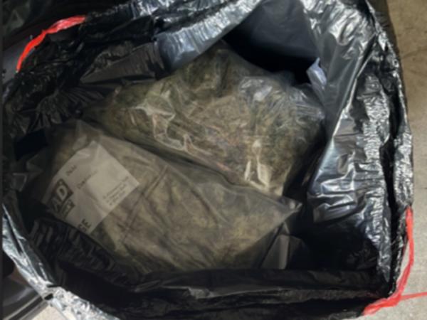 Drugs seized