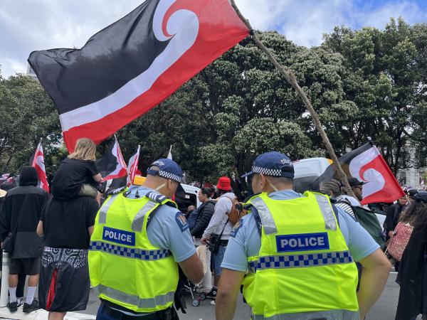 Police at Parliament grounds