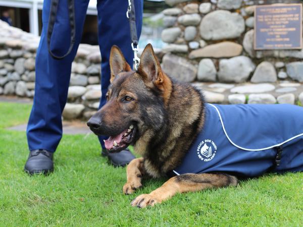Police patrol dog on parade