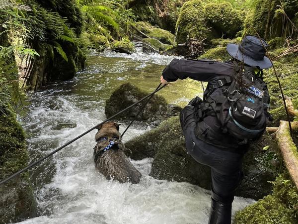 Constable Jordan Steegh with Manaia, the Wellington Police SAR Dog Team 