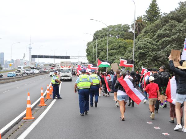 Hīkoi mō te Tiriti passes through Auckland