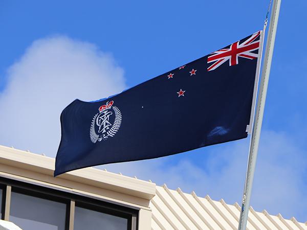 NZP Flag - 1