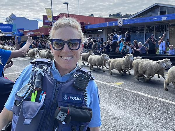 It might look like there's some baaaaad traffic behind Constable Kat, but it's just the annual running of the sheep event in Te 