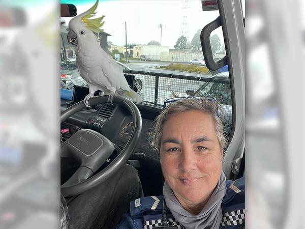 Senior Constable Kim next to the friendly cockatoo she met while on patrol in Rangiora. 